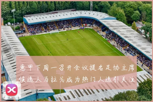 意甲下周一召开会议提名足协主席候选人马拉戈成为热门人选引关注