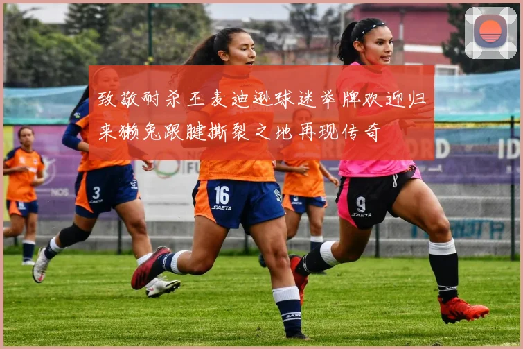 致敬耐杀王麦迪逊球迷举牌欢迎归来獭兔跟腱撕裂之地再现传奇